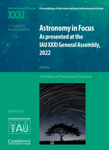 Astronomy in Focus XXXI