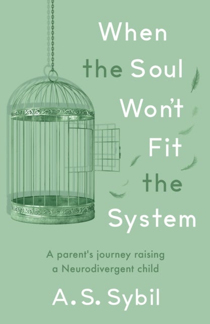 When the Soul Won’t Fit the System - A parent's journey raising a Neurodivergent child
