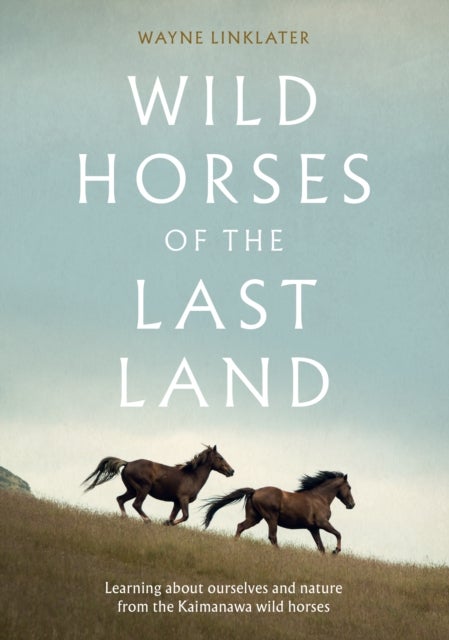 Wild Horses of the Last Land - Learning about ourselves and nature from the Kaimanawa wild horses