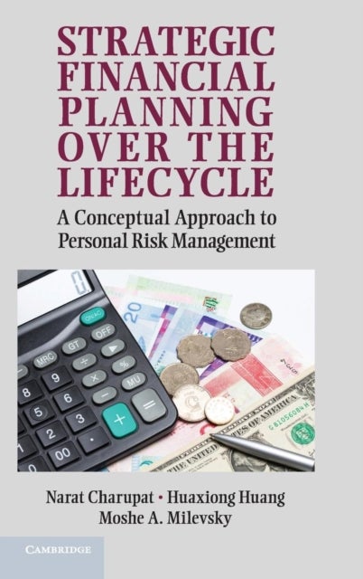 Strategic Financial Planning over the Lifecycle - A Conceptual Approach to Personal Risk Management