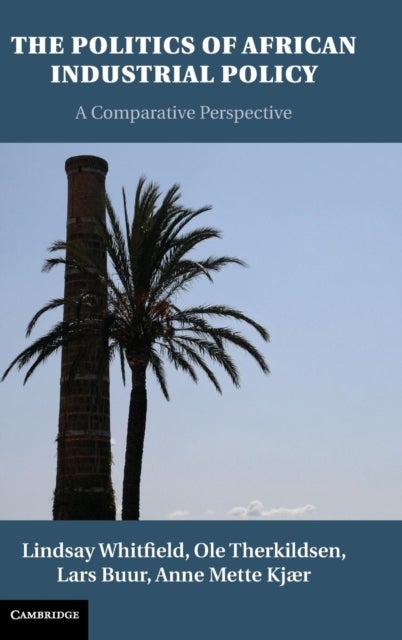The Politics of African Industrial Policy - A Comparative Perspective