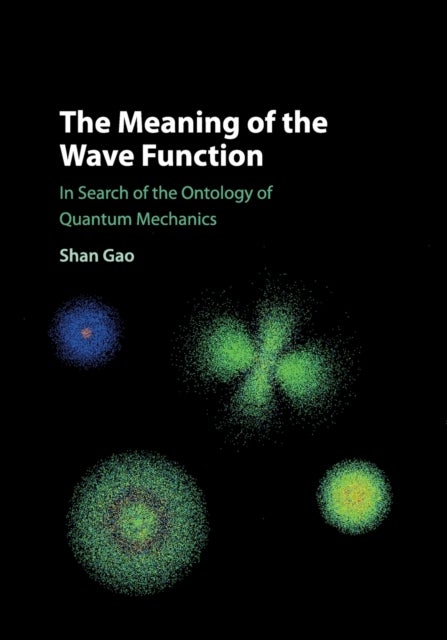The Meaning of the Wave Function - In Search of the Ontology of Quantum Mechanics