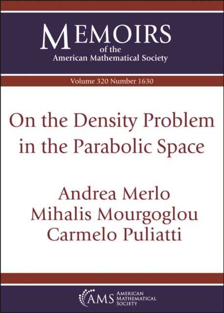 On the Density Problem in the Parabolic Space