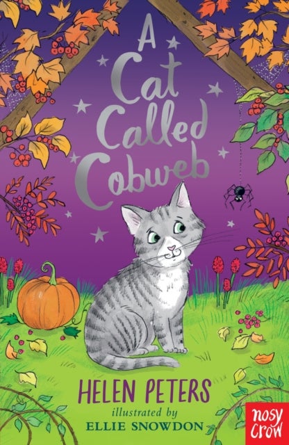 A Cat Called Cobweb