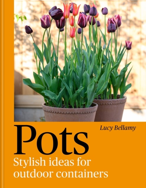 Pots - Stylish Ideas for Outdoor Containers