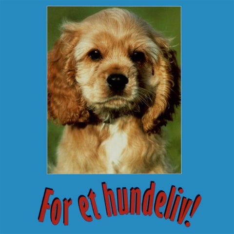 For et hundeliv
