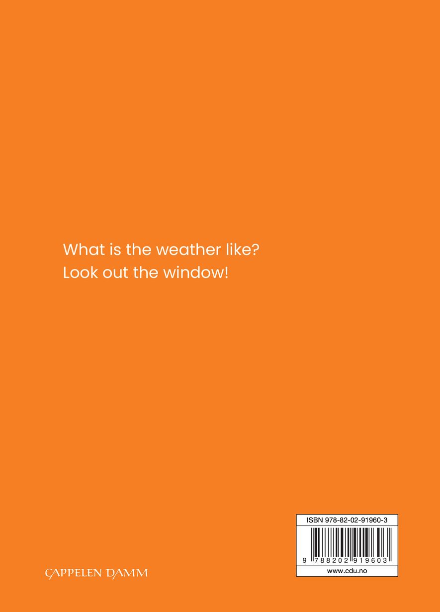 The weather
