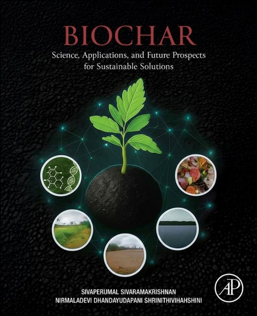 Biochar - Science, Applications, and Future Prospects for Sustainable Solutions