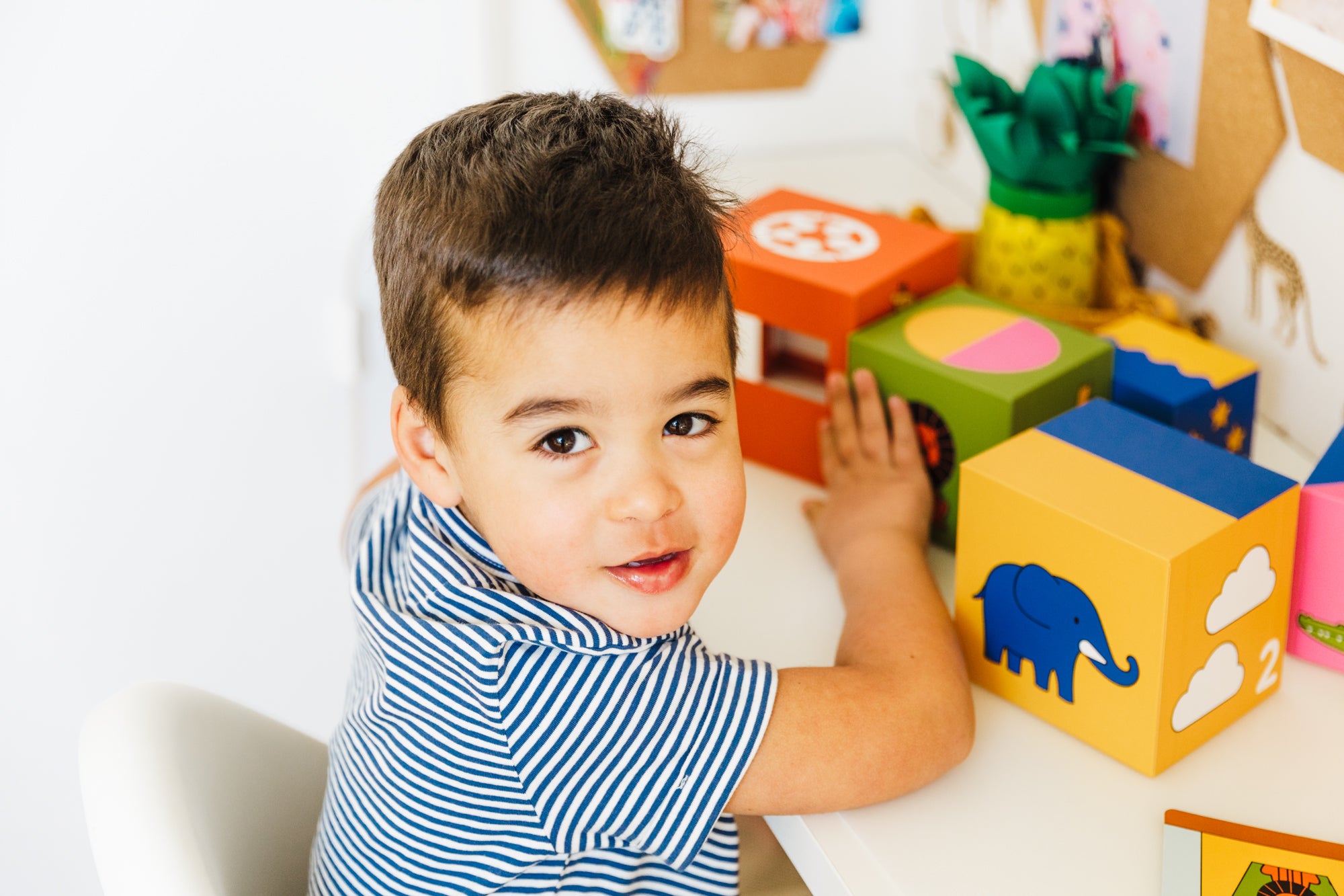 Spill Smart Games Peek-A-Zoo
