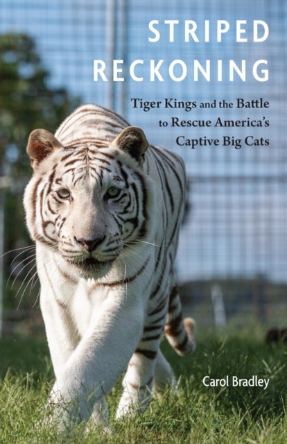 Striped Reckoning - Tiger Kings and the Battle to Rescue America's Captive Big Cats