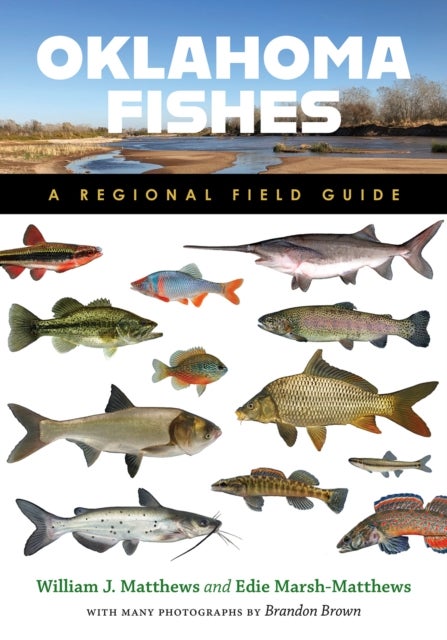 Oklahoma Fishes - A Regional Field Guide