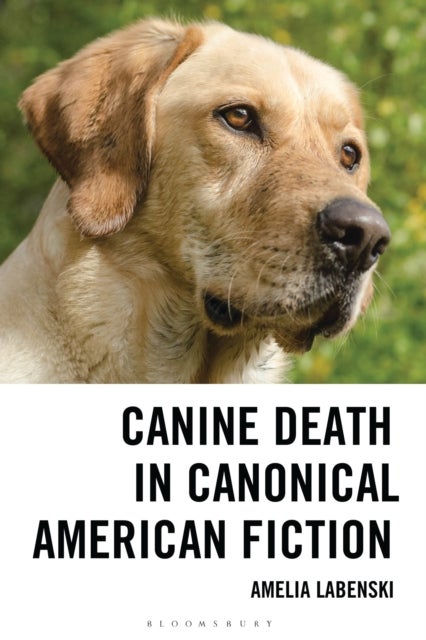 Canine Death in Canonical American Fiction