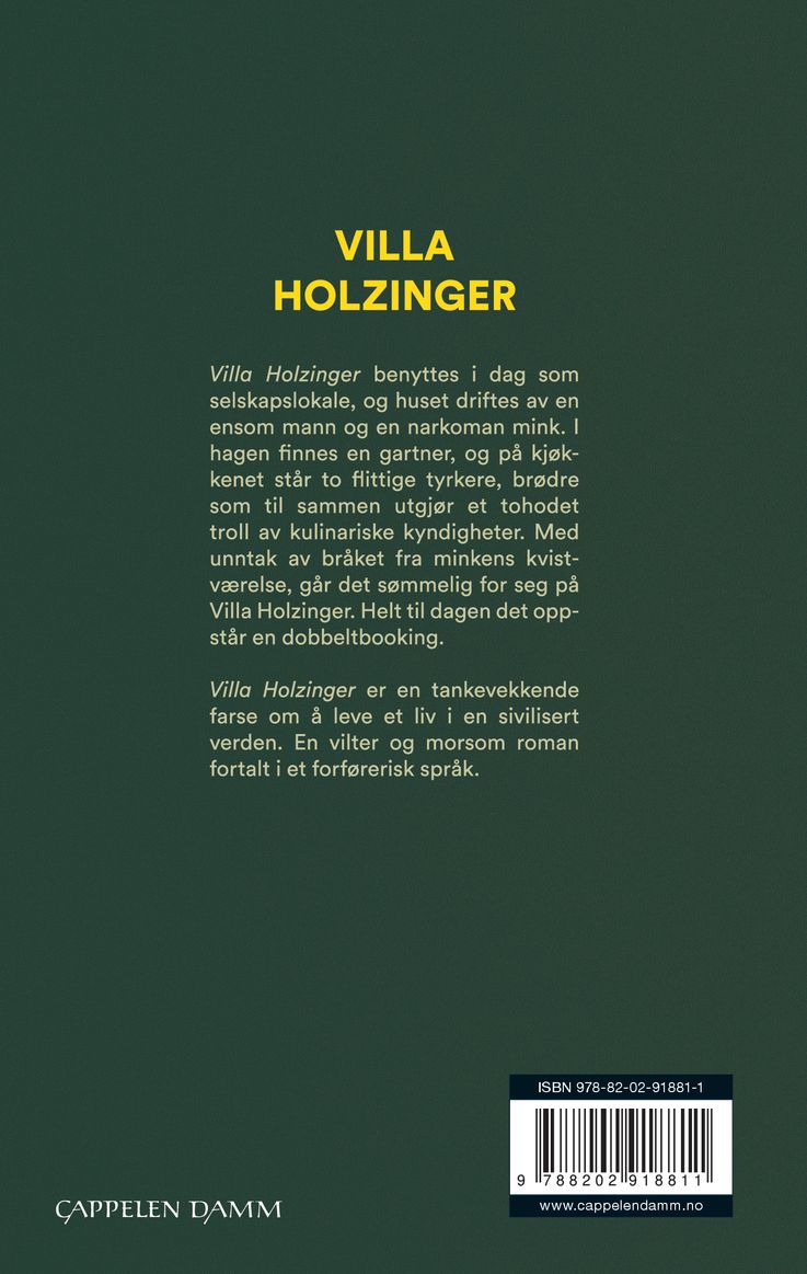 Villa Holzinger