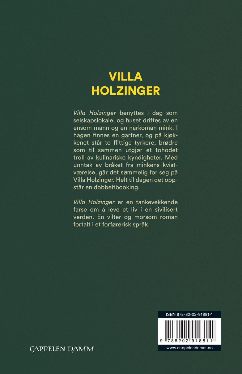 Villa Holzinger
