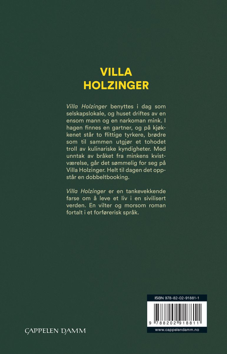 Villa Holzinger
