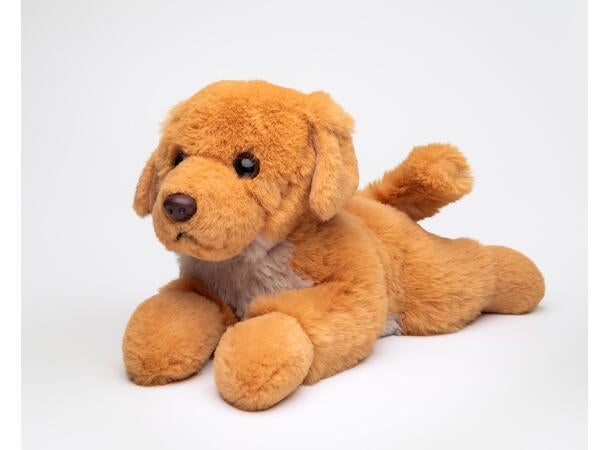 Buster Golden Retriever 26cm