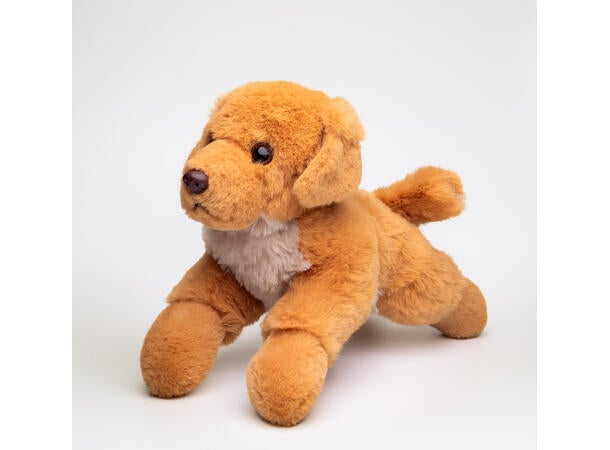 Buster Golden Retriever 26cm
