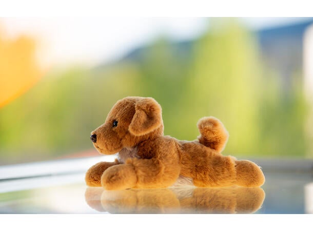 Buster Golden Retriever 26cm