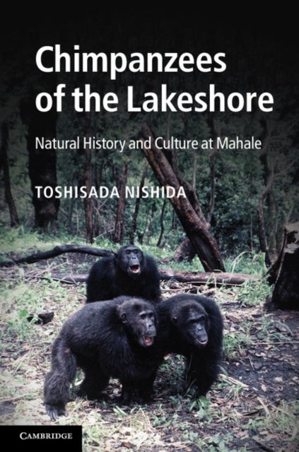 Chimpanzees of the Lakeshore - Natural History and Culture at Mahale