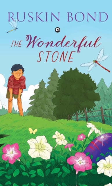 Wonderful Stone