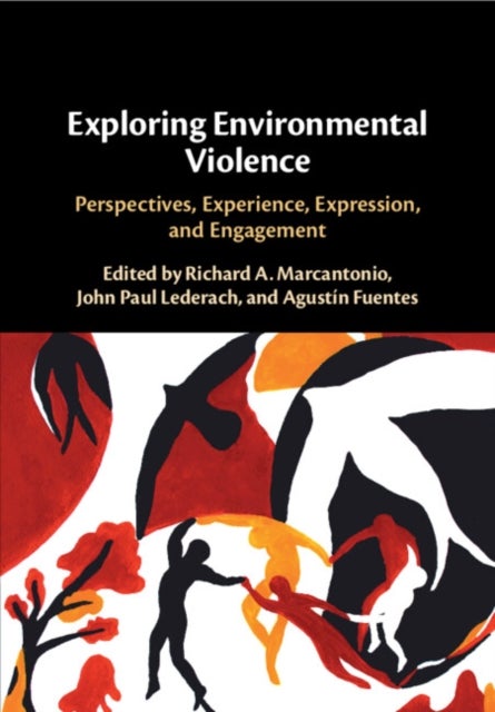 Exploring Environmental Violence - Perspectives, Experience, Expression, and Engagement