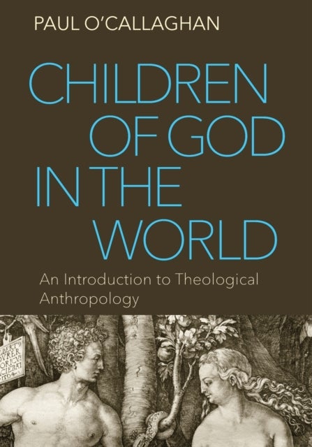 Children of God in the World - An Introduction to Theological Anthropology