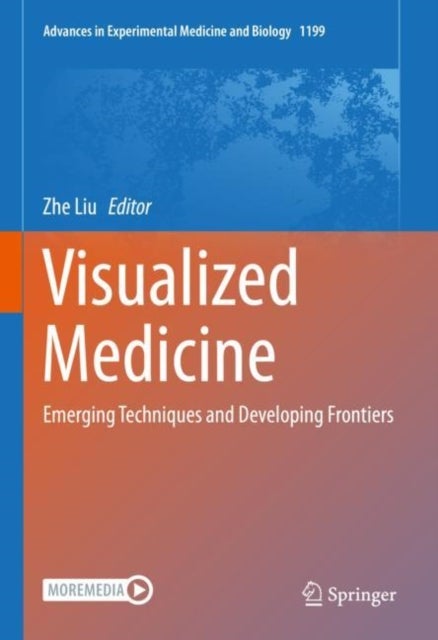 Visualized Medicine - Emerging Techniques and Developing Frontiers