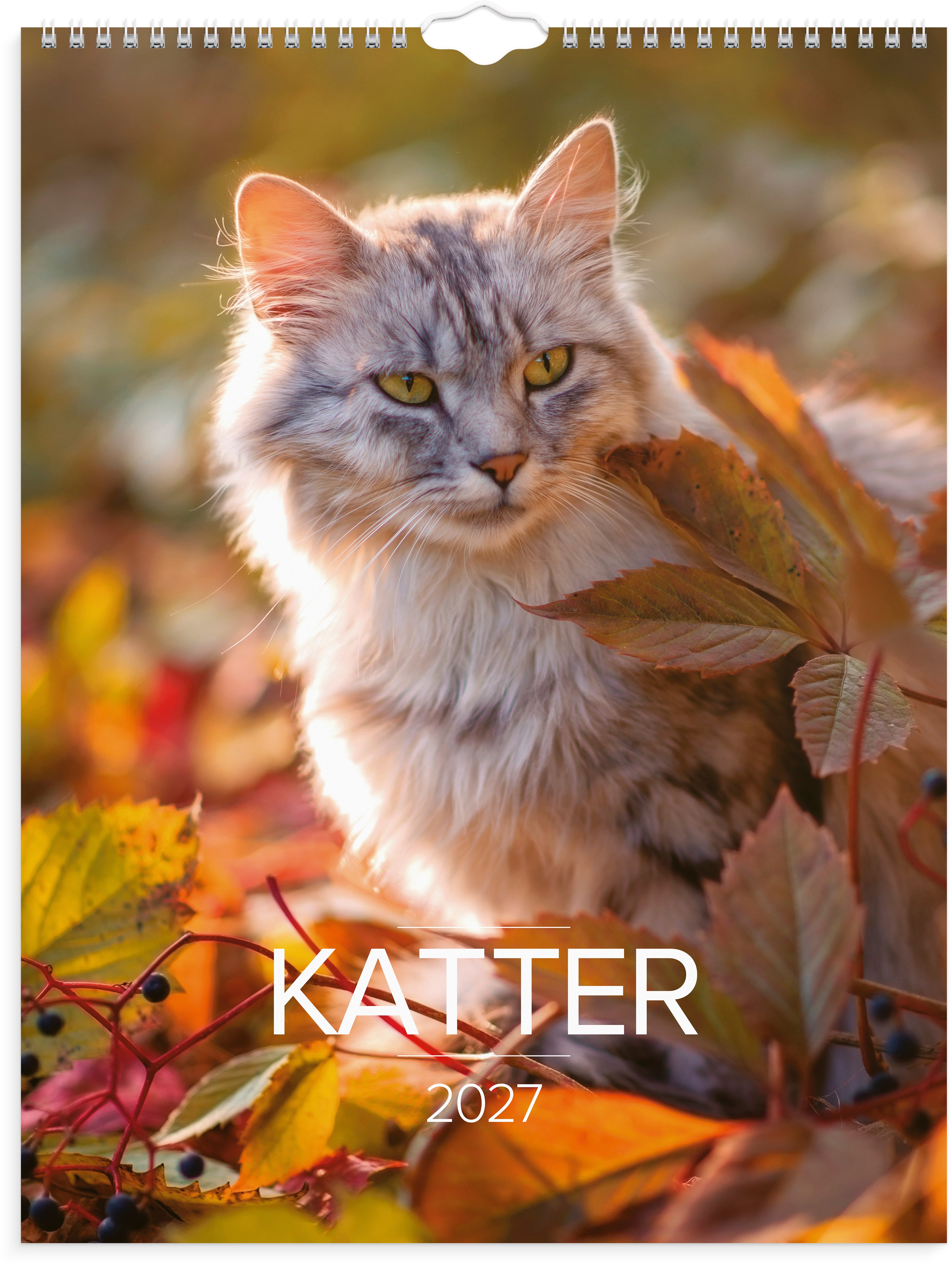 Veggkalender Grieg 2027 Katter