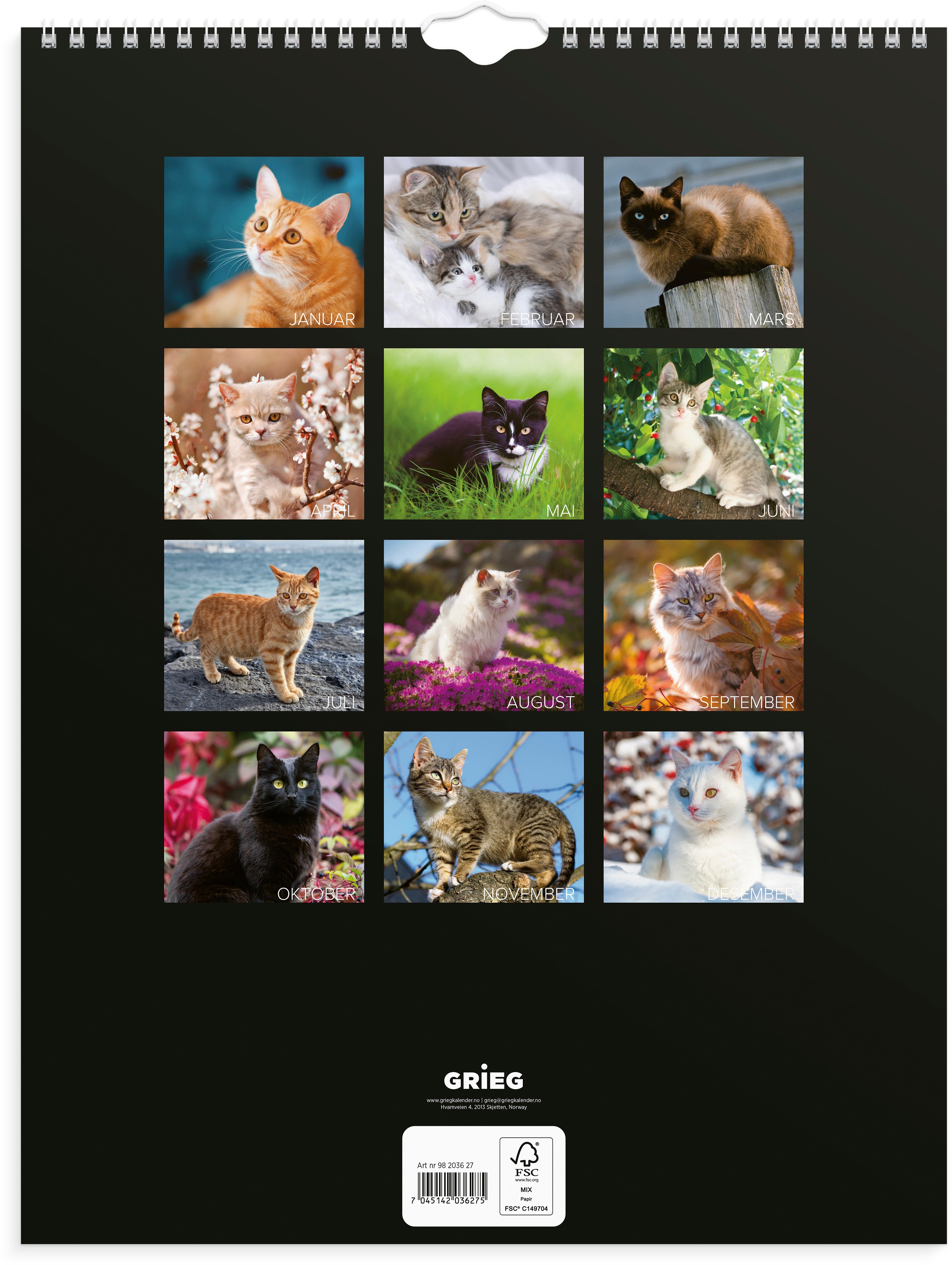 Veggkalender Grieg 2027 Katter