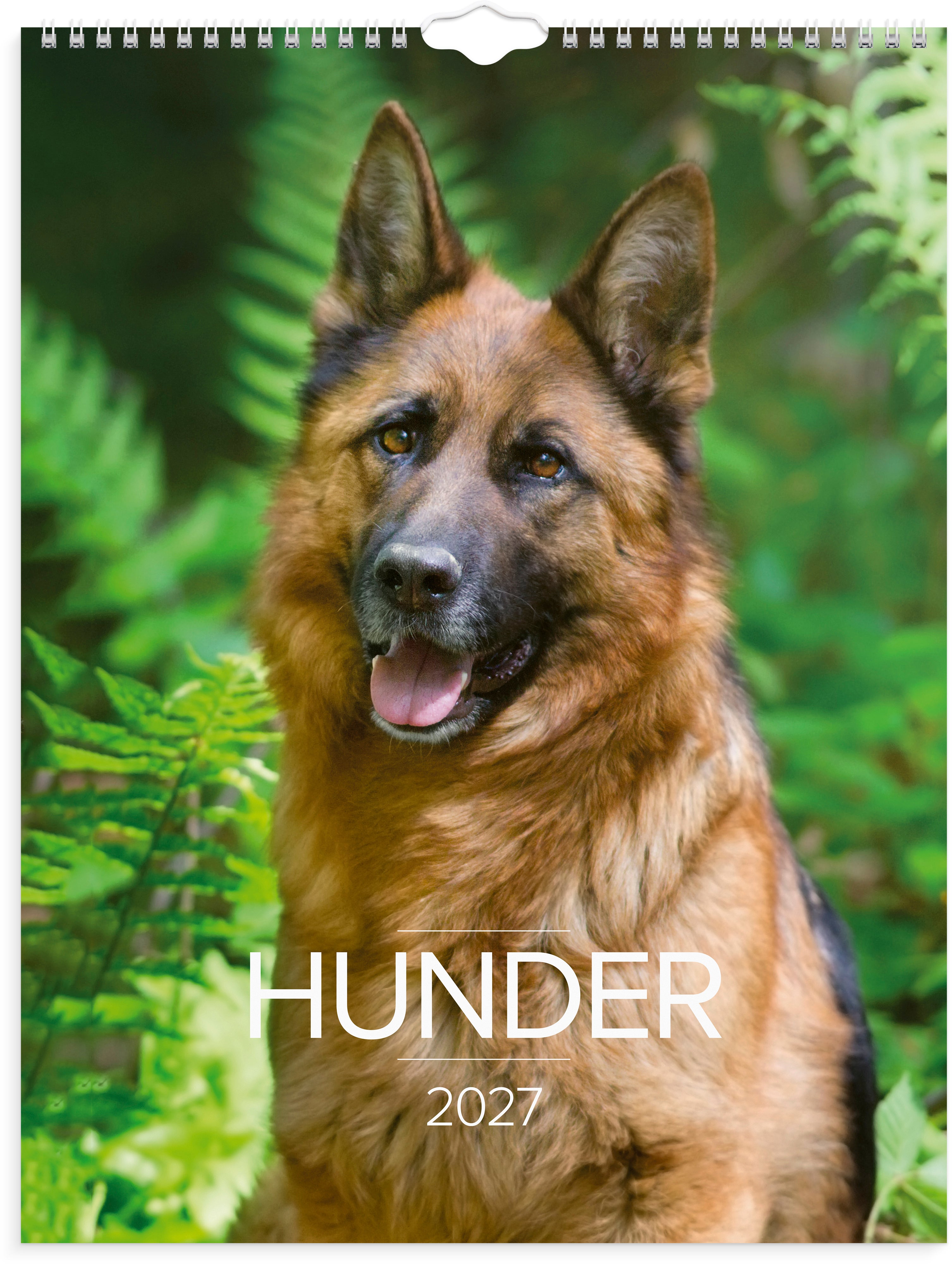 Veggkalender Grieg 2027 Hunder