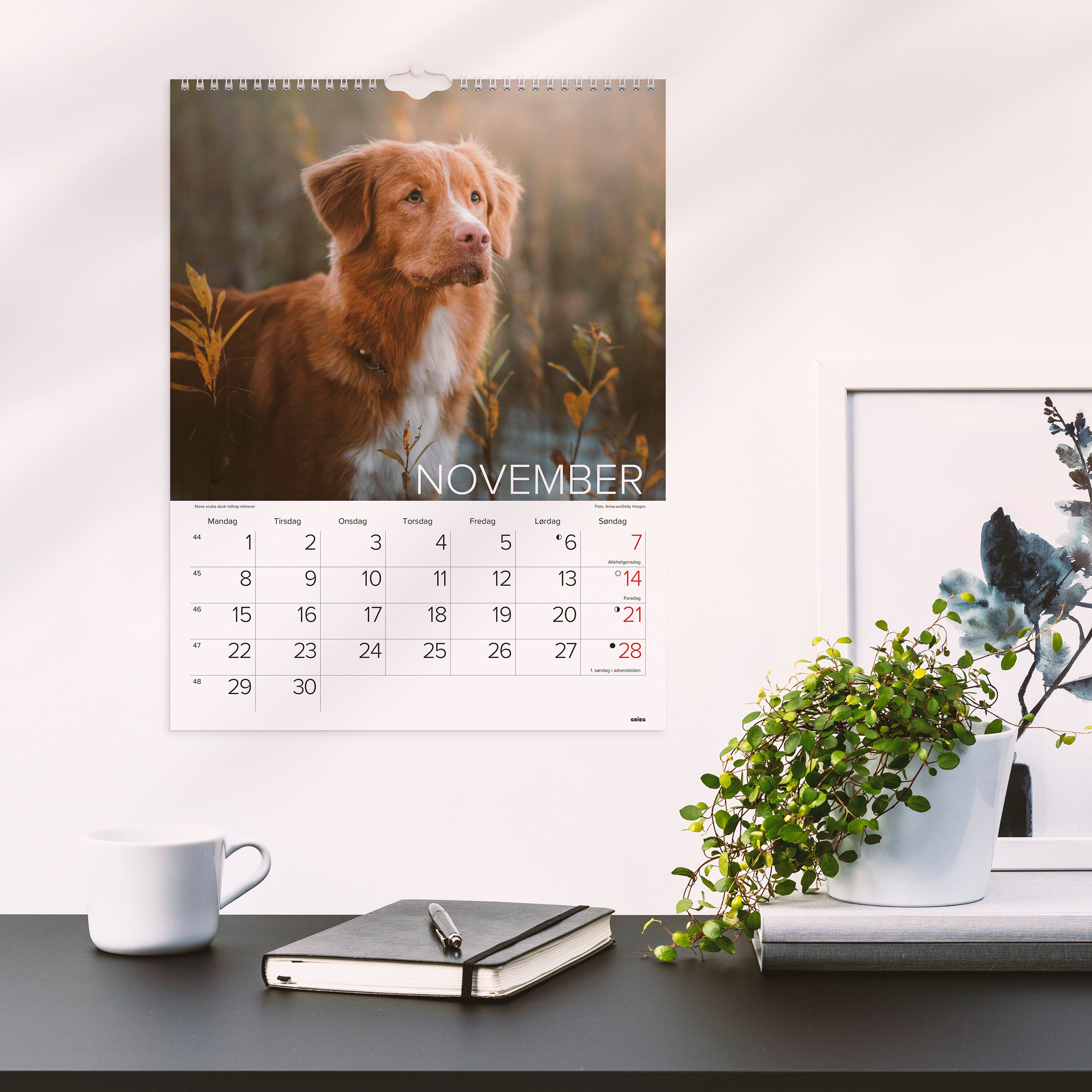 Veggkalender Grieg 2027 Hunder
