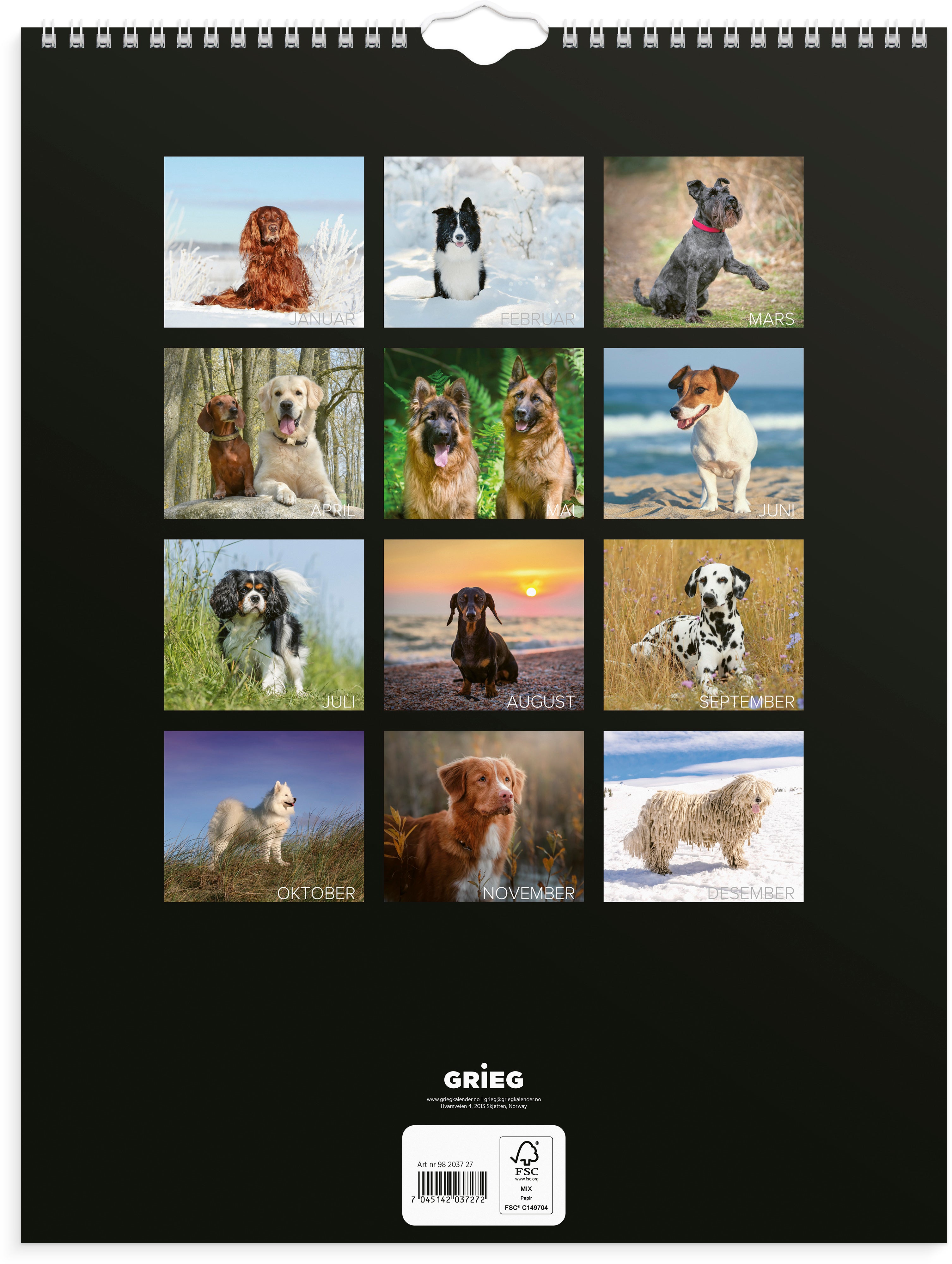 Veggkalender Grieg 2027 Hunder