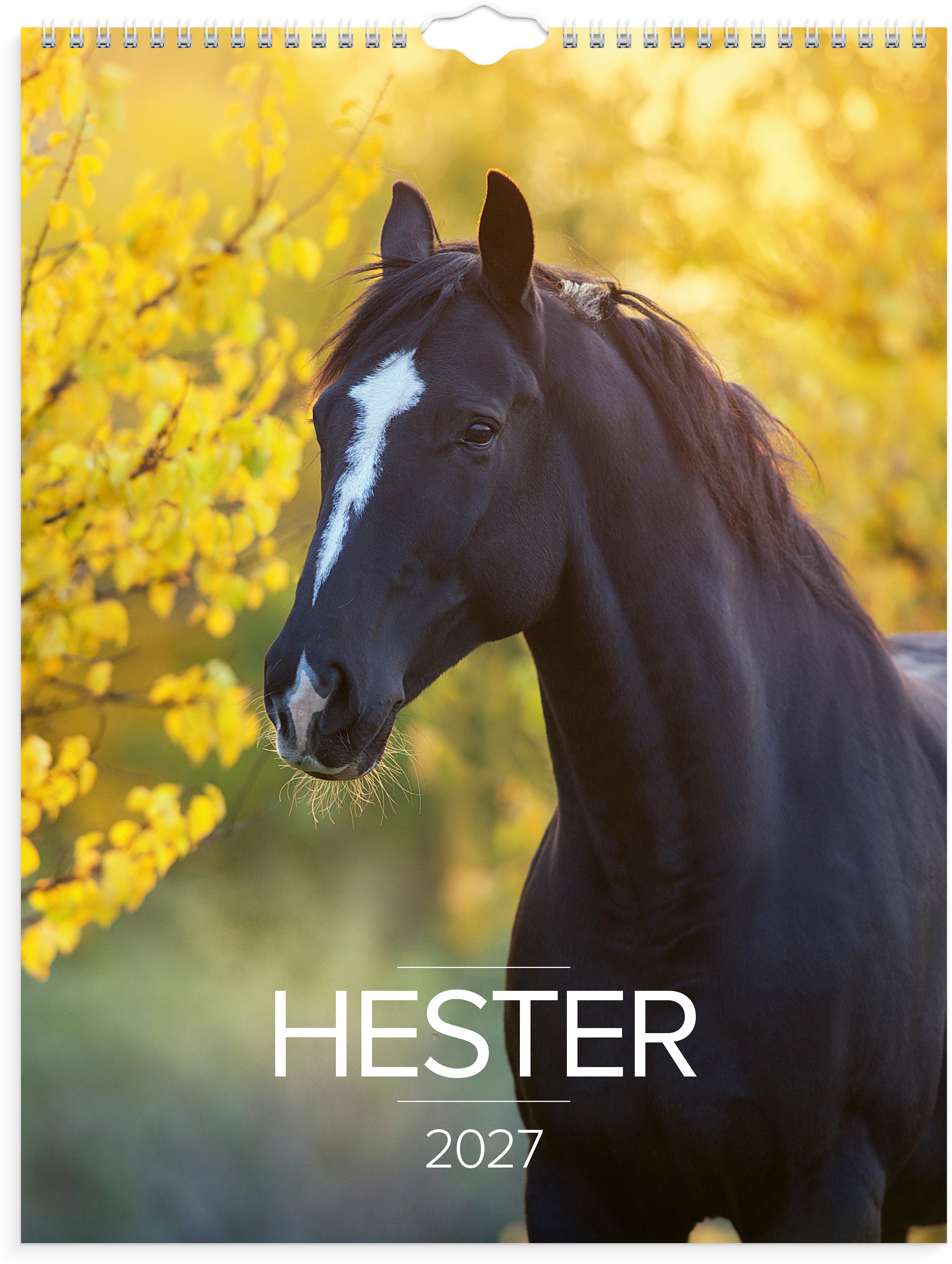 Veggkalender Grieg 2027 Hester