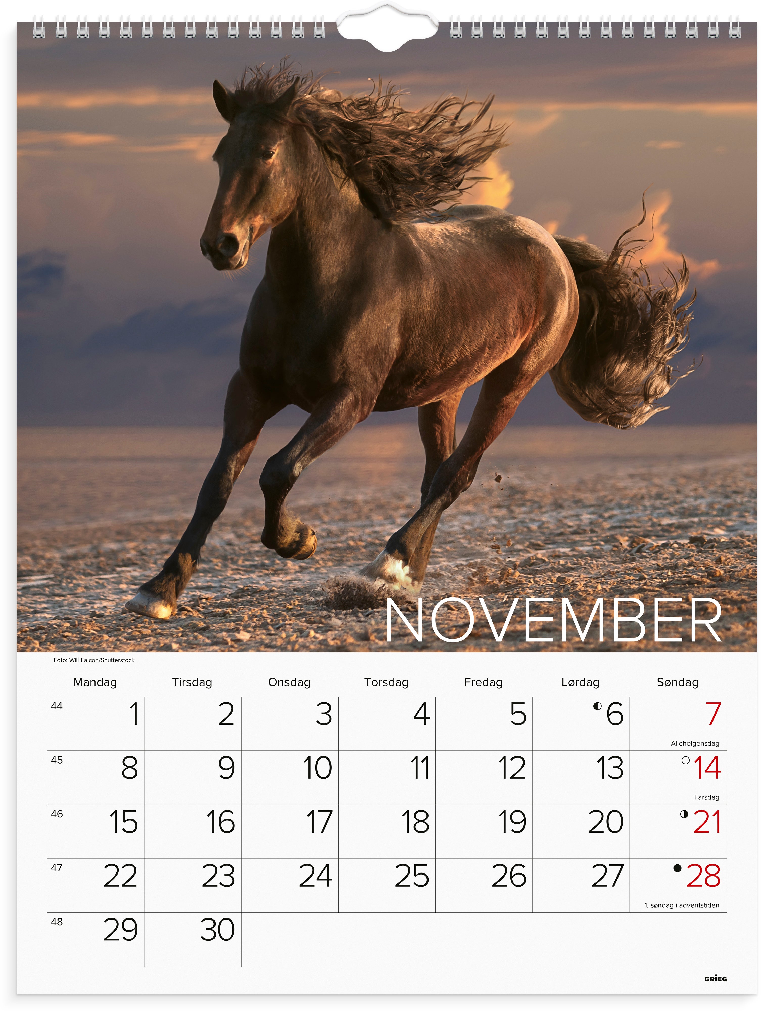 Veggkalender Grieg 2027 Hester