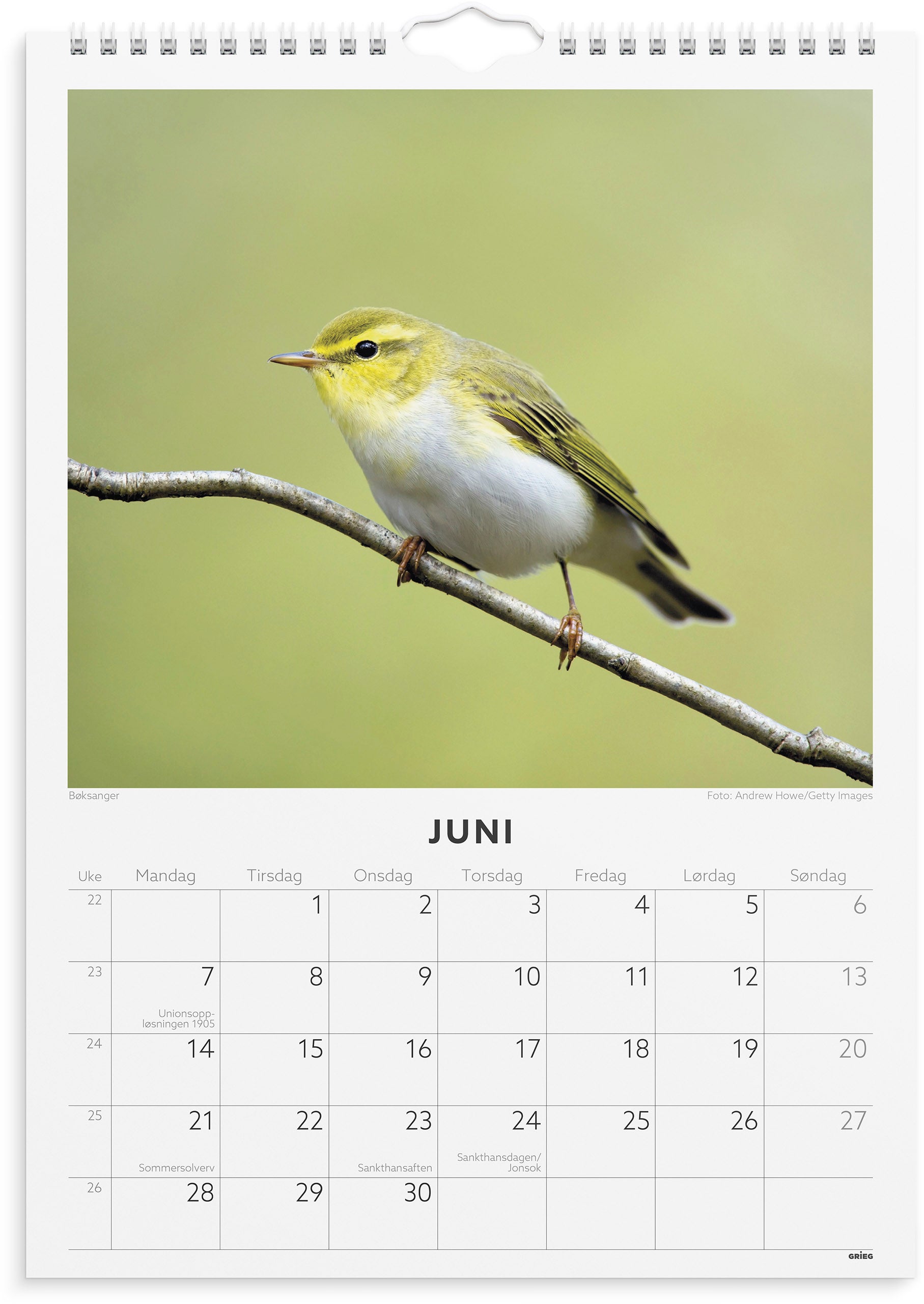 Veggkalender Grieg 2027 Fugler