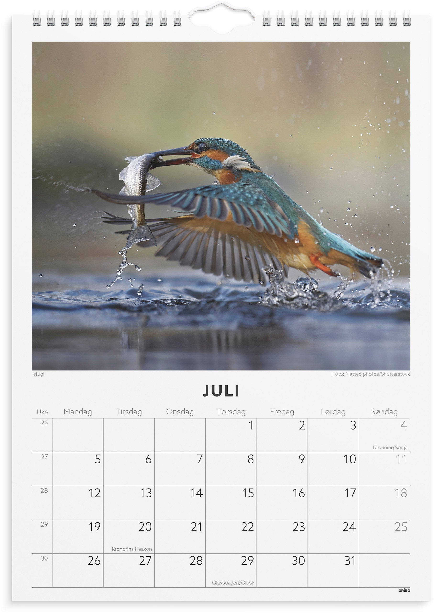 Veggkalender Grieg 2027 Fugler