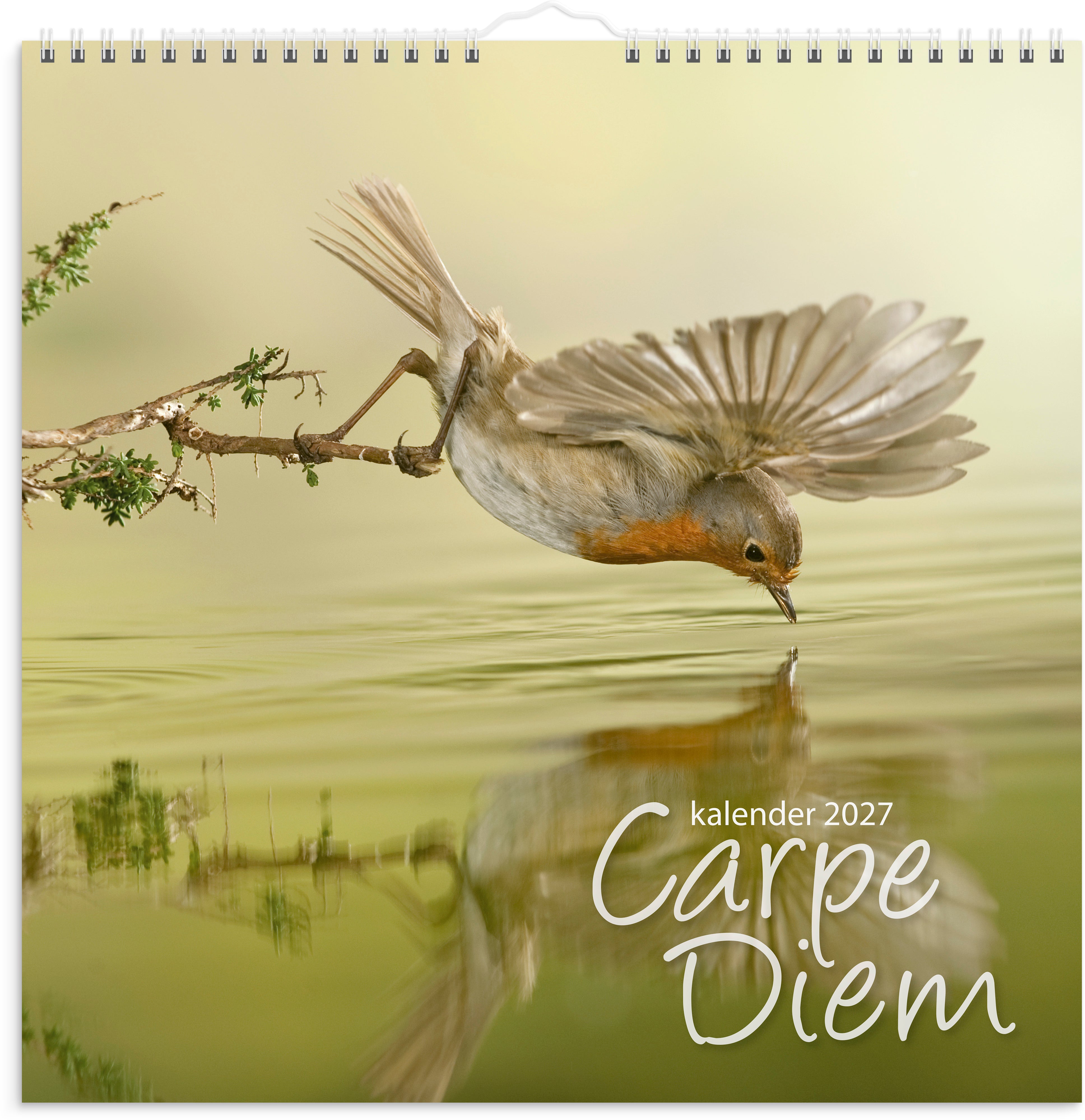 Billedkalender Grieg 2027 Carpe Diem