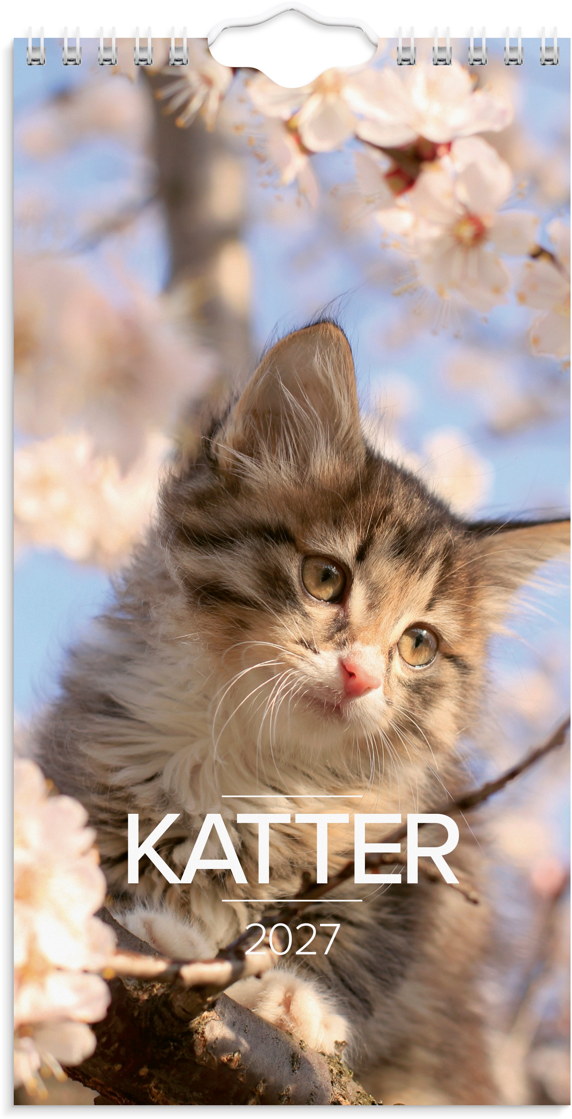 Veggkalender Grieg 2027 Katter Mini