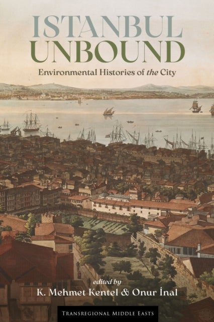 Istanbul Unbound - Environmental Histories of the City