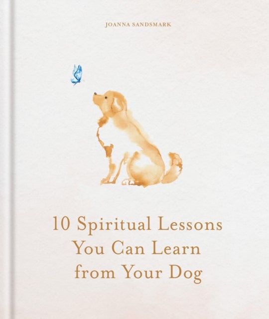 10 Spiritual Lessons You Can Learn from Your Dog - Essential Life Lessons We Can Learn From Our Furry Friend