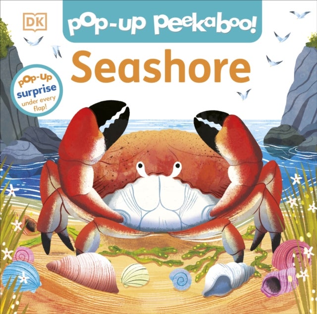 Pop-Up Peekaboo! Seashore - A Beachy Surprise Under Every Flap!