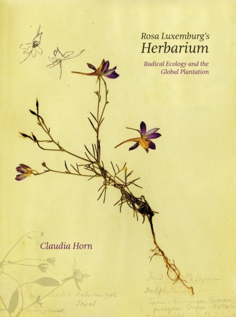 Rosa Luxemburg's Herbarium&nbsp;