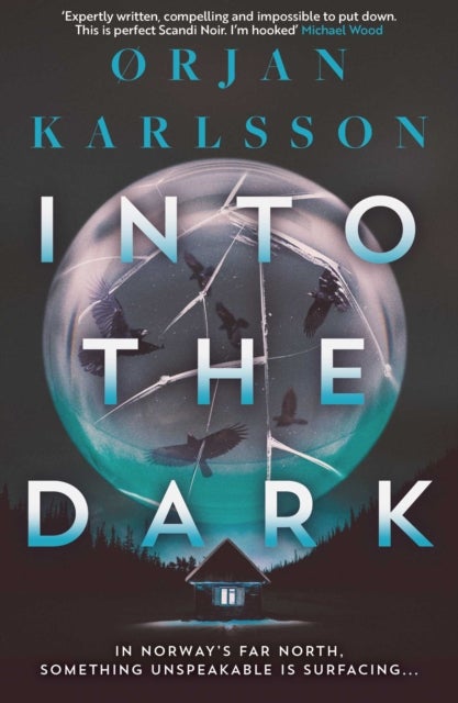 Into The Dark - The dark, twisty new instalment in the chilling Arctic Mysteries series…
