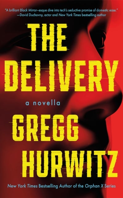 The Delivery - A Novella