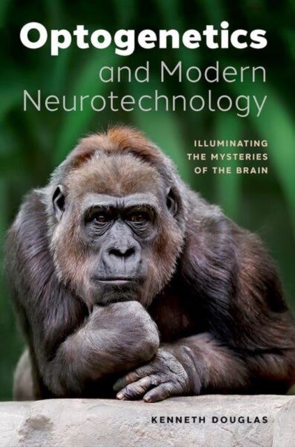 Optogenetics and Modern Neurotechnology - Illuminating the Mysteries of the Brain