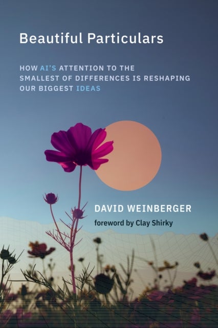 Beautiful Particulars - How AI's Attention to the Smallest of Differences Is Reshaping Our Biggest Ideas