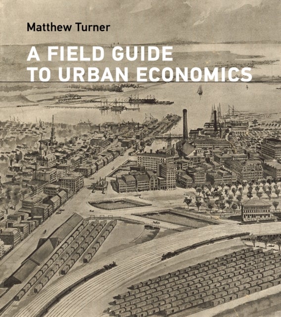 A Field Guide to Urban Economics