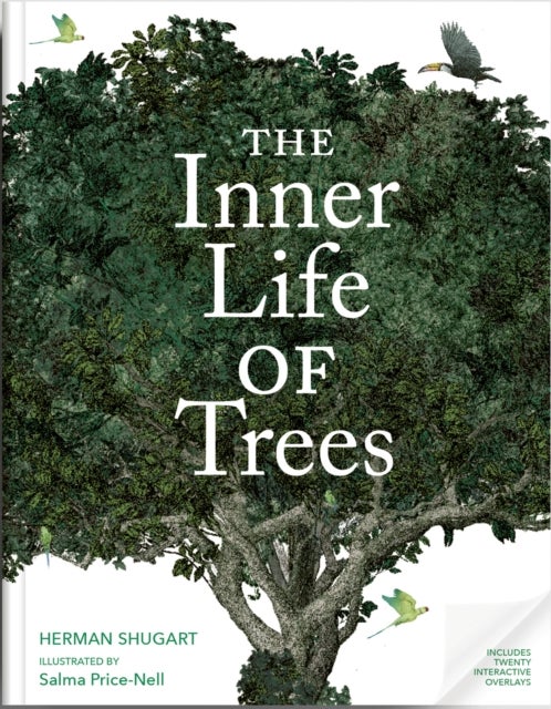 The Inner Life Of Trees - Secrets Revealed with Illustrated Overlays