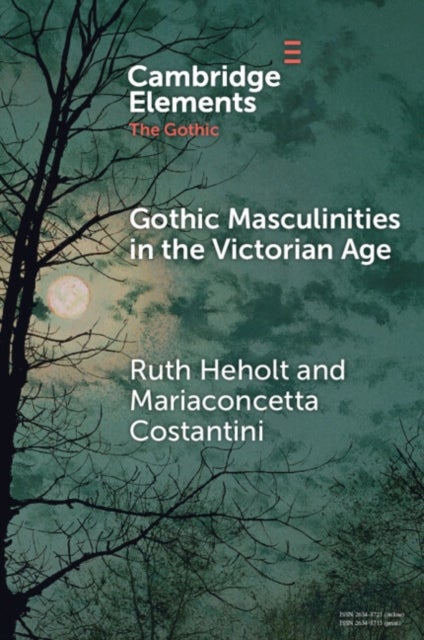 Gothic Masculinities in the Victorian Age