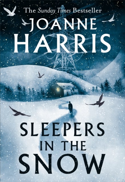 Sleepers in the Snow - A beautiful yet haunting winter ghost story from bestselling author Joanne Harris!